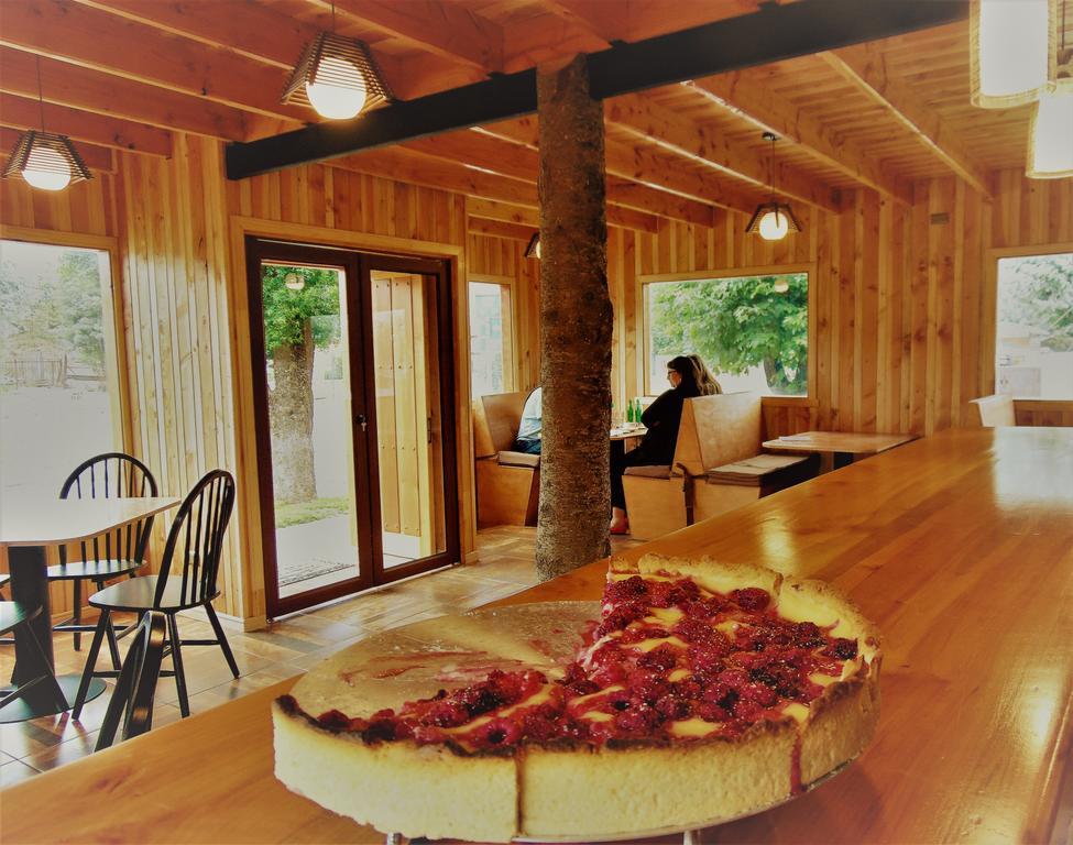 Cafe & Hostal Acurruka Curacautín Exteriér fotografie