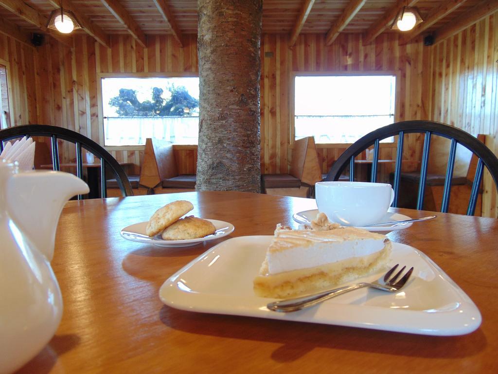 Cafe & Hostal Acurruka Curacautín Exteriér fotografie